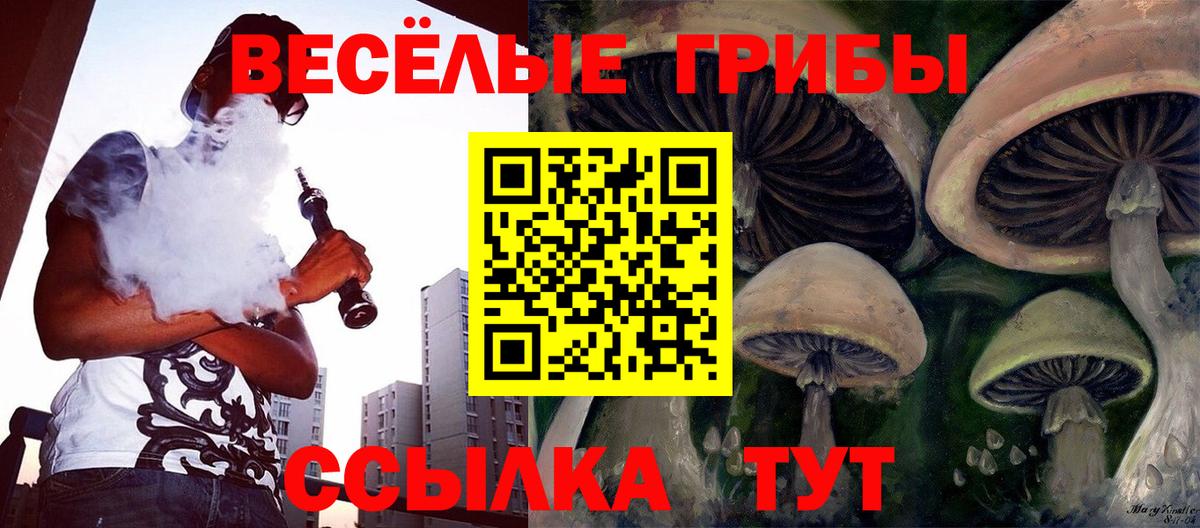 Псилоцибиновые грибы ЛСД Обнинск