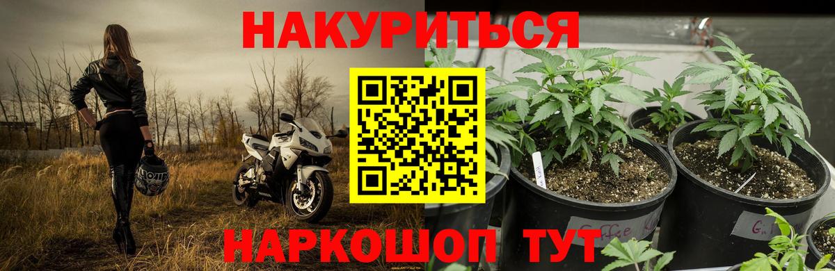 Бошки Шишки гибрид  Вход с VPN  Конопля AK-47  Обнинск 